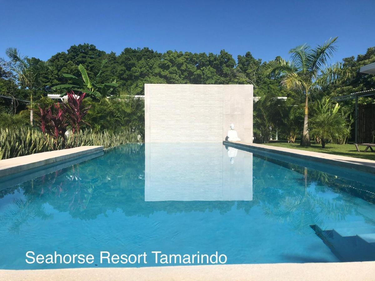 Seahorse Resort Тамариндо Екстер'єр фото